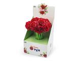 Penna red roses 16pz